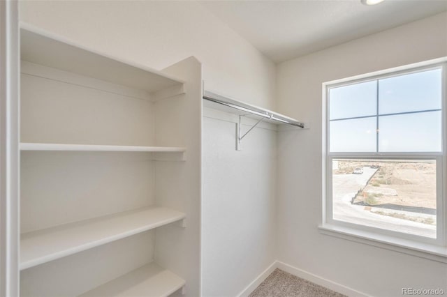 18130 Dandy Brush Ln, Parker, CO 80134 - photo 19