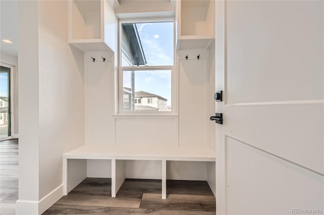 mudroom with hardwood / wood-style floors