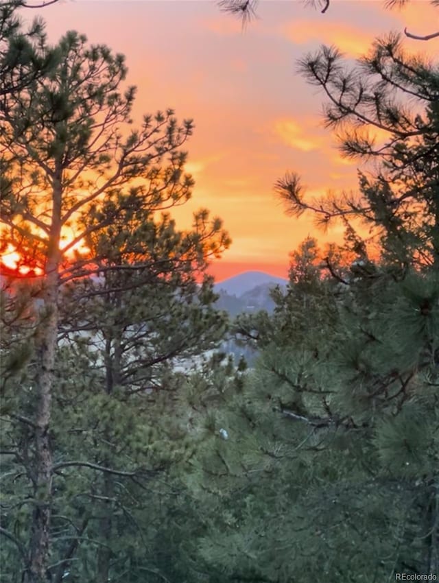 28550 Cavan Ln, Evergreen, CO 80439 - nature at dusk featuring a mountain view