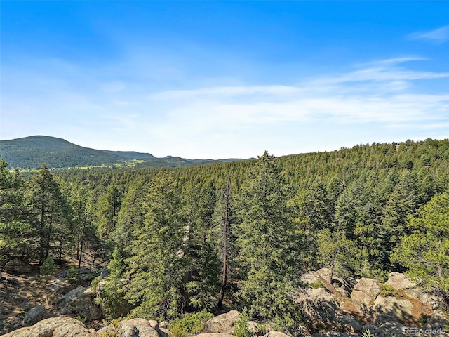 28550 Cavan Ln, Evergreen, CO 80439 - view of mountain backdrop featuring a forest