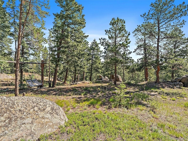 28550 Cavan Ln, Evergreen, CO 80439 - view of yard