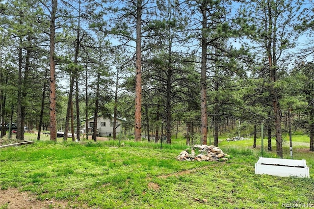 294 Kudu Trl, Bailey, CO 80421 - photo 23