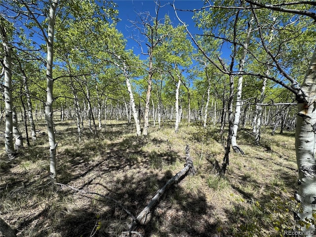 275 Oxen Ct, Hartsel, CO 80449 - photo 2