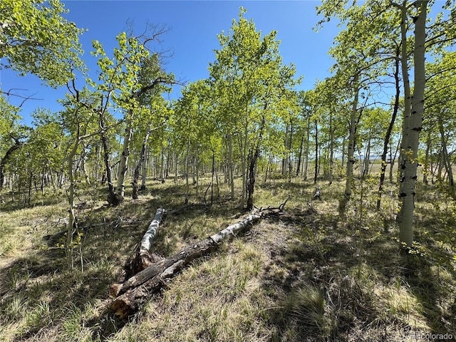 275 Oxen Ct, Hartsel, CO 80449 - photo 3