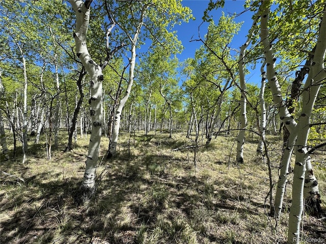 275 Oxen Ct, Hartsel, CO 80449 - photo 4