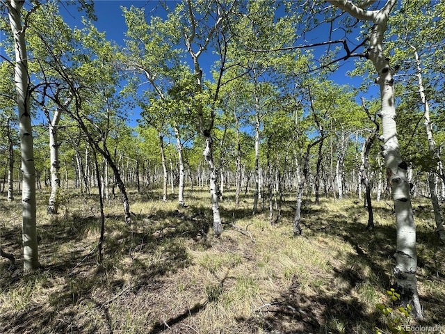 275 Oxen Ct, Hartsel, CO 80449 - photo 5