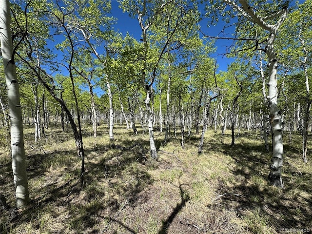 275 Oxen Ct, Hartsel, CO 80449 - photo 6