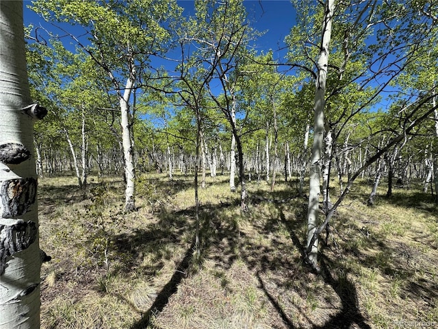 275 Oxen Ct, Hartsel, CO 80449 - photo 7