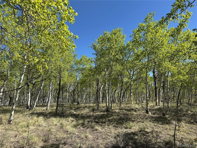 275 Oxen Ct, Hartsel, CO 80449 - photo 8