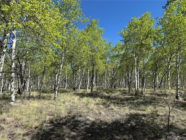 275 Oxen Ct, Hartsel, CO 80449 - photo 9