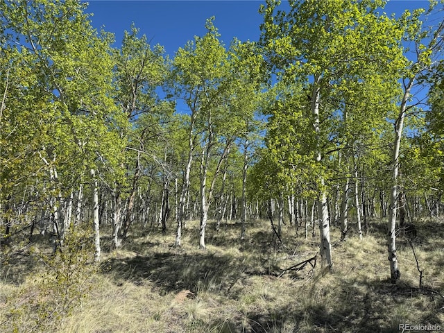 275 Oxen Ct, Hartsel, CO 80449 - photo 10