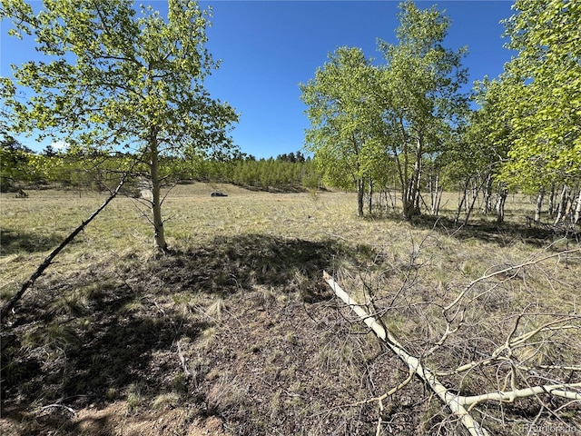 275 Oxen Ct, Hartsel, CO 80449 - photo 11