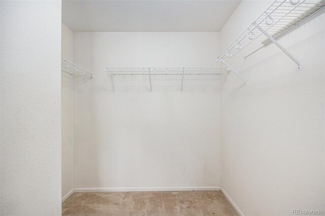 5405 Military Trl, Parker, CO 80134 - photo 21