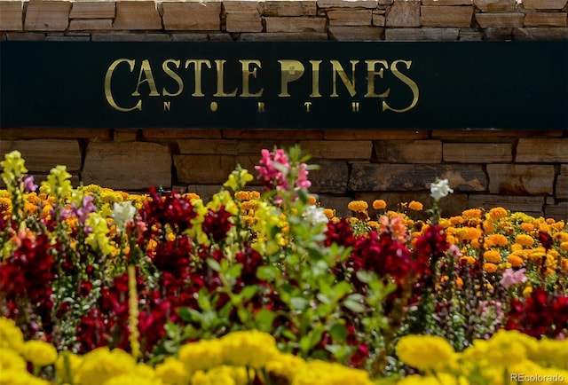 8114 Briar Ridge Dr, Castle Pines, CO 80108 - view of community sign