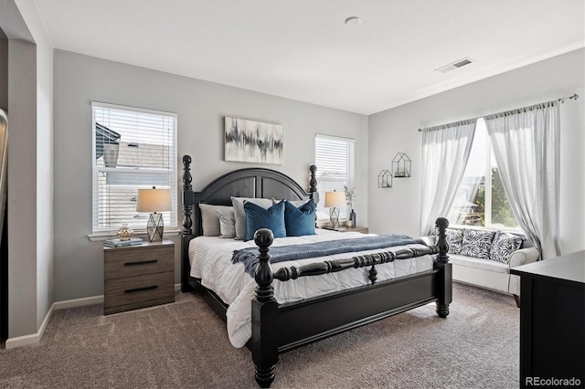 1173 Basalt Ridge Loop, Castle Rock, CO 80108 - photo 19