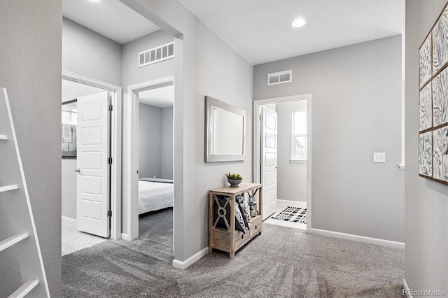 1173 Basalt Ridge Loop, Castle Rock, CO 80108 - photo 24