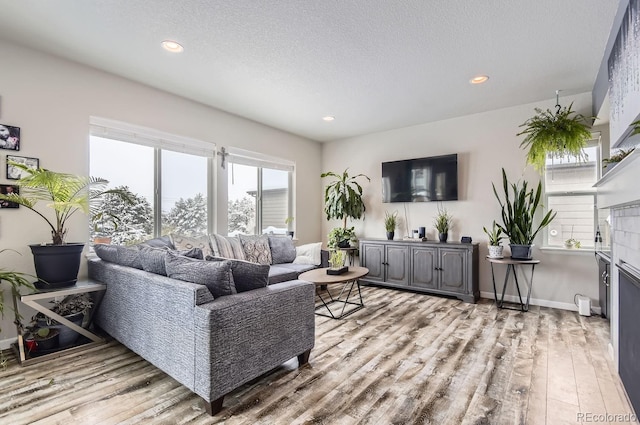 living room with a textured ceiling and light hardwood / wood-style flooring