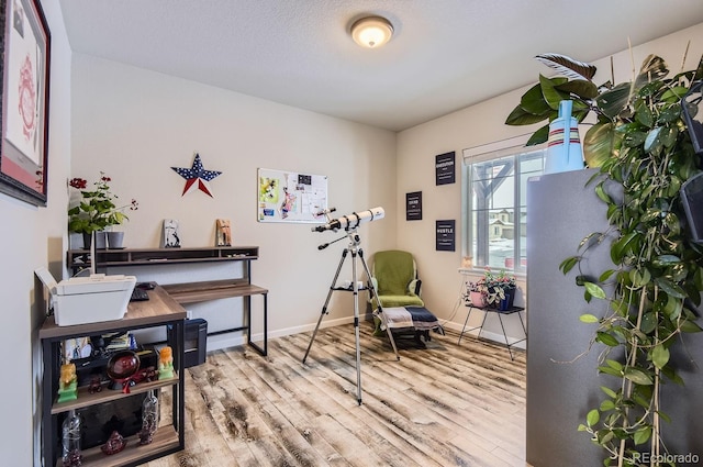 living area featuring wood-type flooring