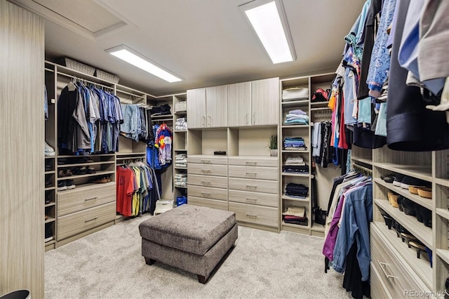 16498 E Lake Dr, Centennial, CO 80016 - spacious closet featuring carpet flooring
