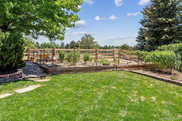 16498 E Lake Dr, Centennial, CO 80016 - view of yard featuring a vegetable garden