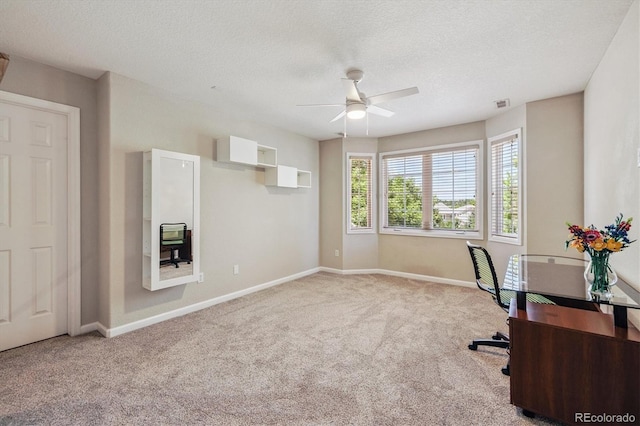 16498 E Lake Dr, Centennial, CO 80016 - home office with ceiling fan, carpet, and a textured ceiling