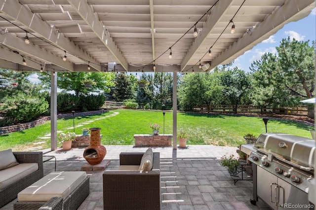 16498 E Lake Dr, Centennial, CO 80016 - fenced backyard with grilling area, a patio area, and an outdoor living space