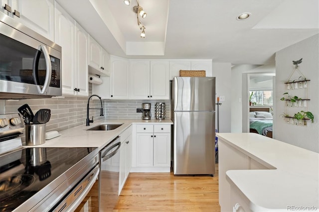 kitchen featuring tasteful backsplash, appliances with stainless steel finishes, a tray ceiling, and a sink