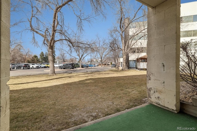 7770 W 38th Ave Unit 108, Wheat Ridge, CO 80033 - view of yard