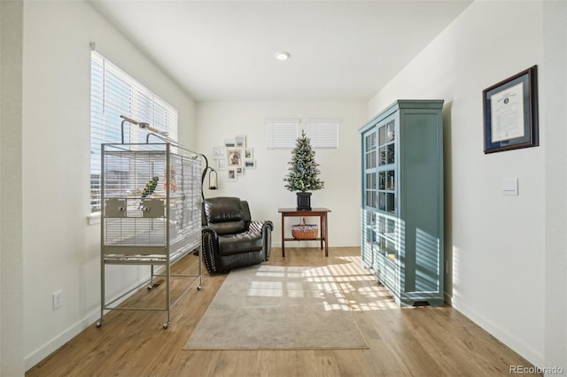 sitting room with wood-type flooring