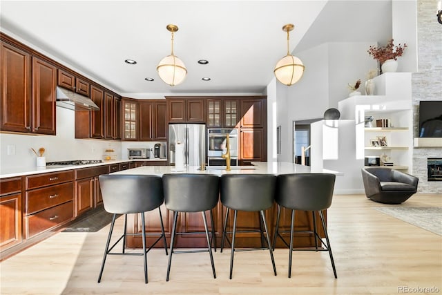 kitchen featuring pendant lighting, light hardwood / wood-style flooring, and stainless steel appliances