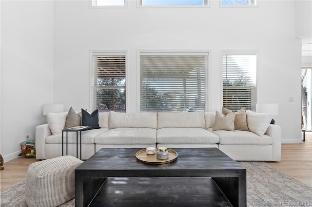 living room with light wood-type flooring