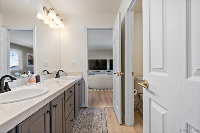 bathroom featuring hardwood / wood-style flooring, vanity, and toilet