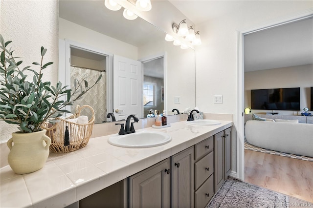 bathroom with hardwood / wood-style flooring and vanity