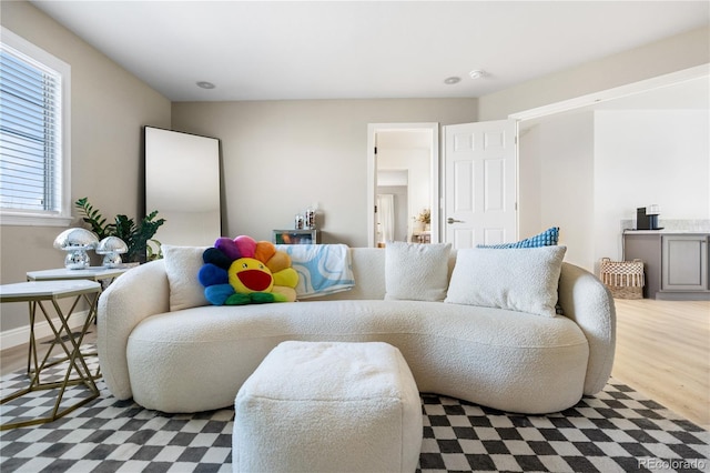 living room with hardwood / wood-style flooring