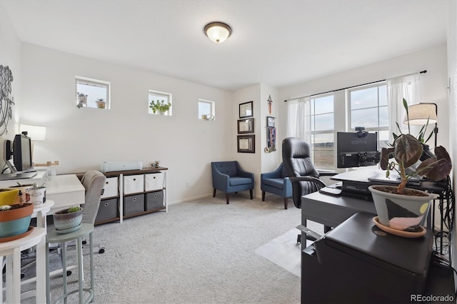 office space with baseboards and carpet flooring