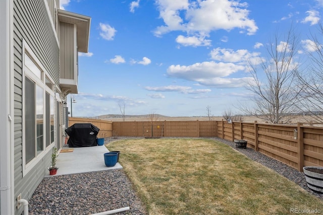 view of yard featuring a patio area and a fenced backyard