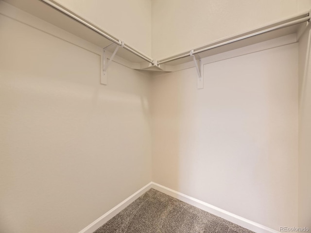 600 E Dry Creek Pl, Littleton, CO 80122 - spacious closet with carpet