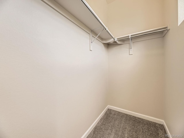 600 E Dry Creek Pl, Littleton, CO 80122 - spacious closet featuring carpet flooring
