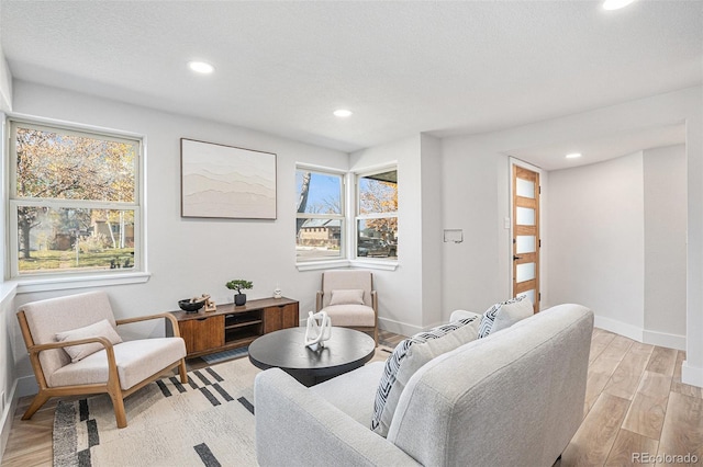 living room featuring light hardwood / wood-style floors