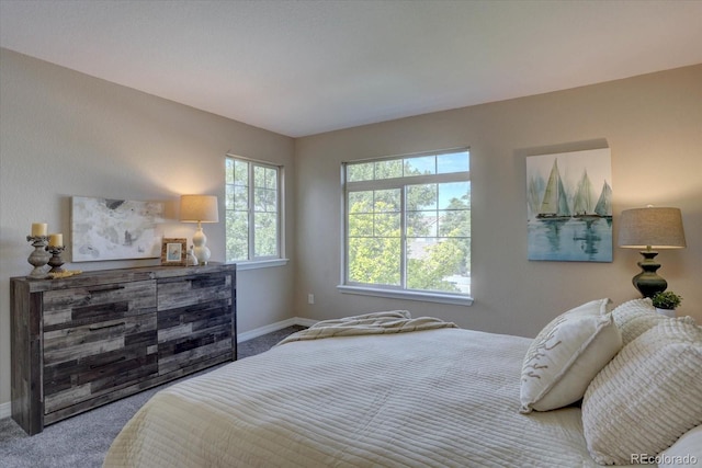 12812 Jasmine St Unit D, Thornton, CO 80602 - carpeted bedroom featuring baseboards and a bar
