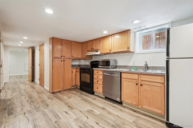 kitchen featuring sink, light hardwood / wood-style flooring, and stainless steel appliances