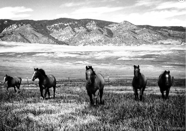 5447 Remuda Ranch Pkwy, Sedalia, CO 80135