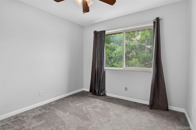 6840 S Broadway, Centennial, CO 80122 - photo 25