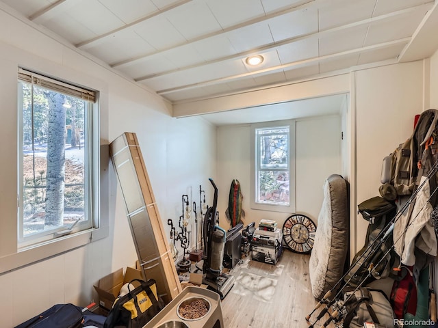 exercise room with wood finished floors and a wealth of natural light