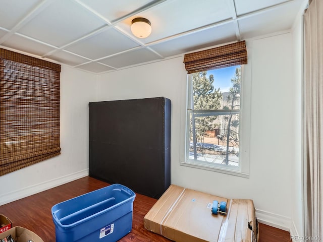 interior space featuring baseboards, a healthy amount of sunlight, and wood finished floors