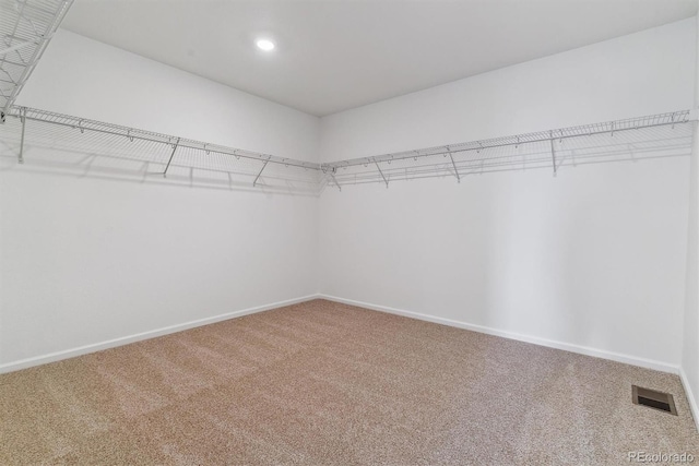 walk in closet with carpet floors