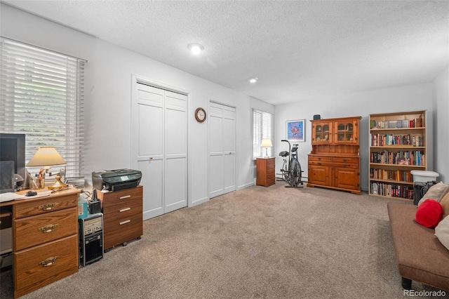 649 Cottonwood Dr, Evergreen, CO 80439 - office space featuring light colored carpet, a textured ceiling, and recessed lighting