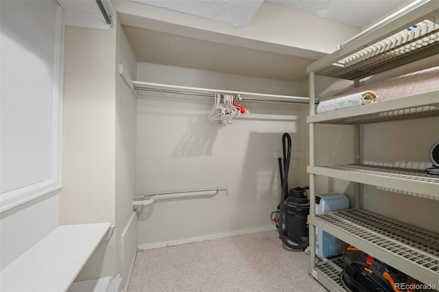649 Cottonwood Dr, Evergreen, CO 80439 - walk in closet with light colored carpet
