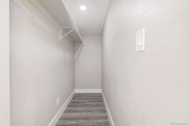 spacious closet featuring dark hardwood / wood-style flooring