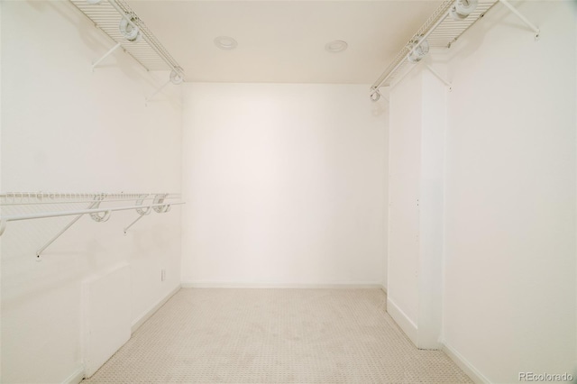 spacious closet with light colored carpet